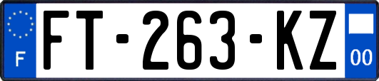 FT-263-KZ