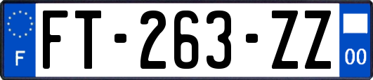 FT-263-ZZ