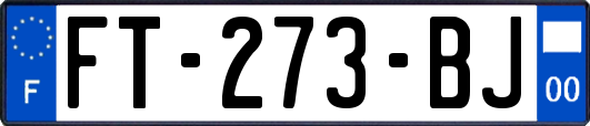 FT-273-BJ