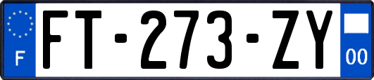 FT-273-ZY