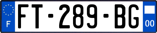 FT-289-BG