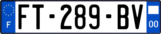 FT-289-BV