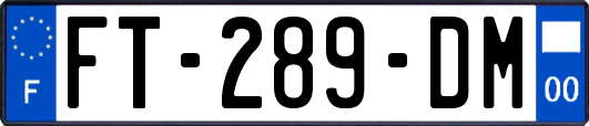 FT-289-DM