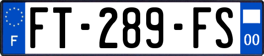 FT-289-FS