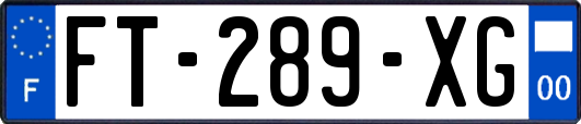 FT-289-XG