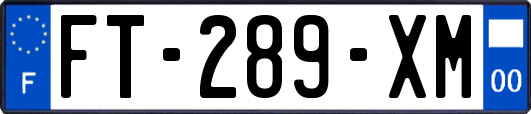 FT-289-XM