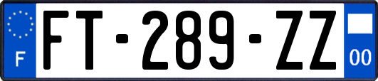 FT-289-ZZ