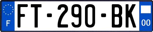 FT-290-BK