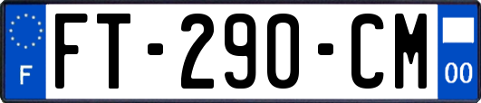 FT-290-CM