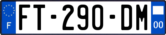 FT-290-DM