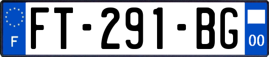 FT-291-BG