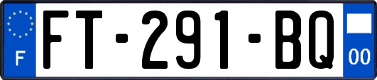 FT-291-BQ