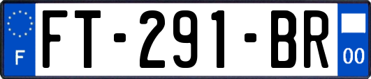 FT-291-BR