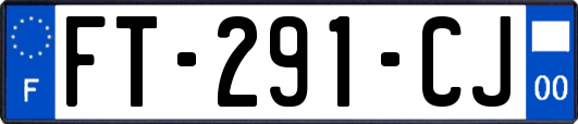 FT-291-CJ