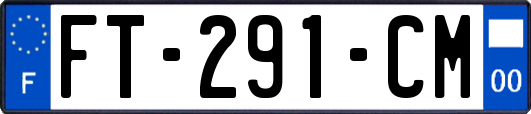 FT-291-CM