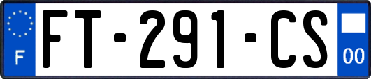 FT-291-CS