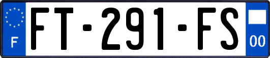 FT-291-FS