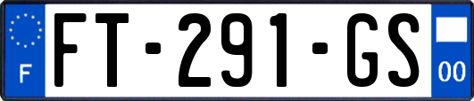 FT-291-GS