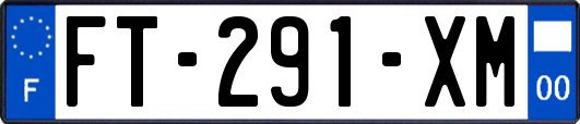 FT-291-XM