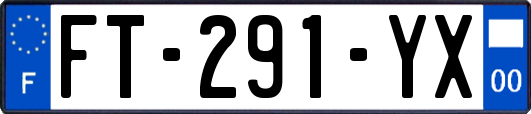 FT-291-YX