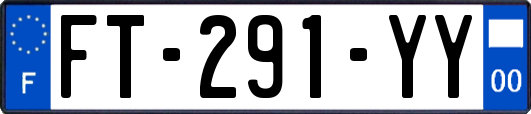 FT-291-YY