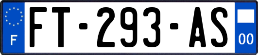 FT-293-AS