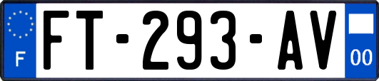 FT-293-AV