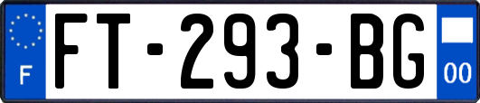 FT-293-BG