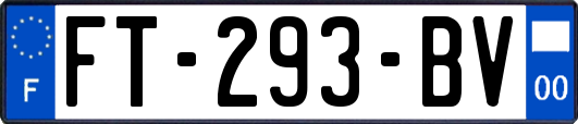 FT-293-BV