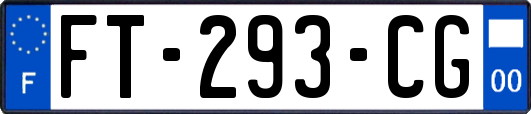 FT-293-CG