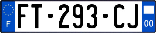 FT-293-CJ