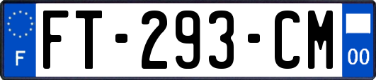 FT-293-CM