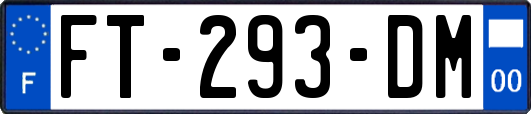 FT-293-DM