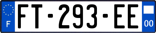FT-293-EE