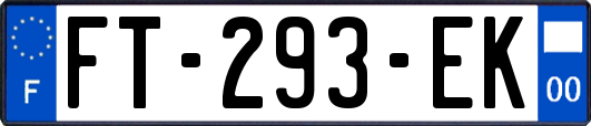 FT-293-EK