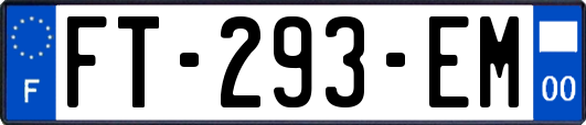 FT-293-EM