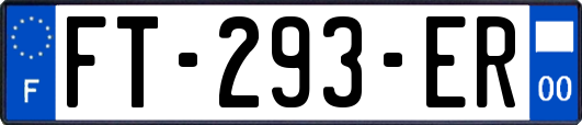 FT-293-ER