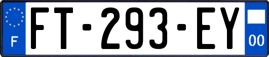 FT-293-EY