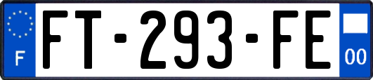 FT-293-FE