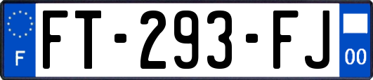 FT-293-FJ