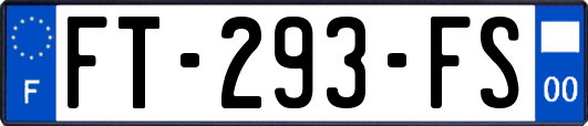 FT-293-FS
