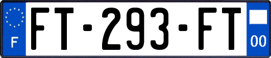 FT-293-FT