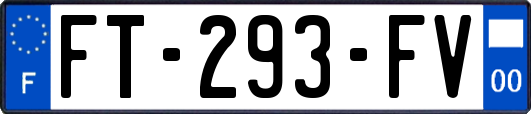 FT-293-FV