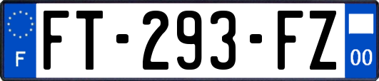 FT-293-FZ