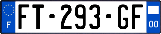 FT-293-GF
