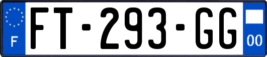 FT-293-GG
