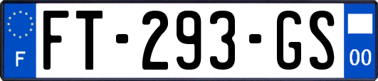 FT-293-GS