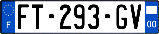 FT-293-GV