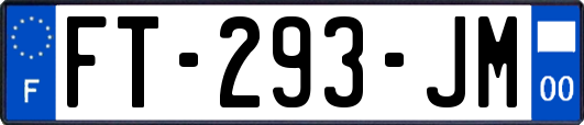 FT-293-JM