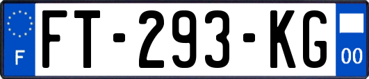 FT-293-KG